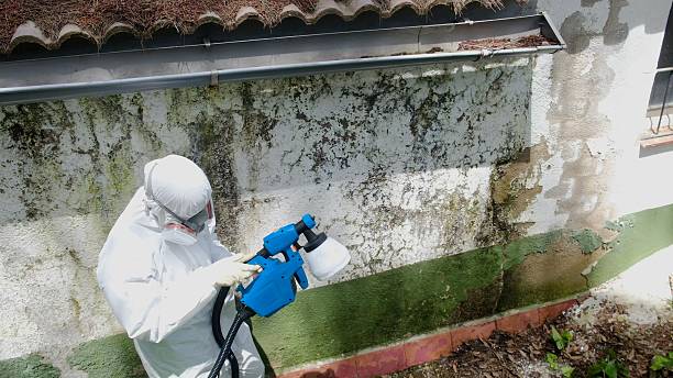 Trusted Mold Remediation service in Watsontown, PA - Cheap Mold Removal